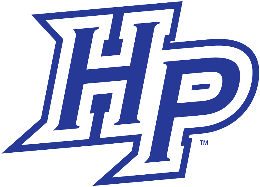 High Point Panthers 2004-2011 Alternate Logo t shirts iron on transfers v2